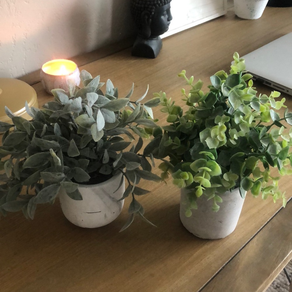 2 fake plants
